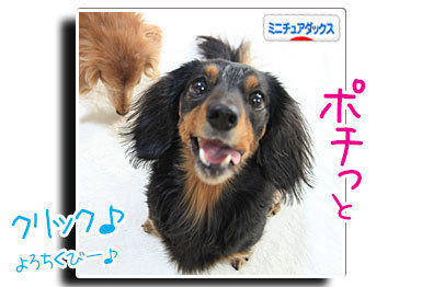 2018030312.jpg