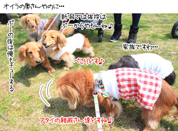 2018042105.jpg