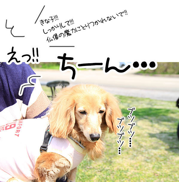 2018042109.jpg