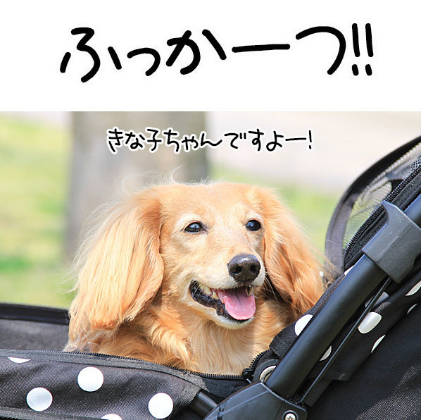 2018042111.jpg