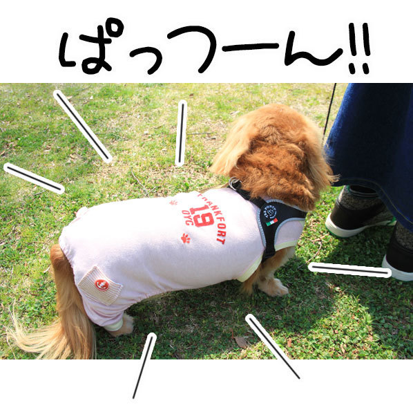 2018042112.jpg