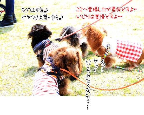 2018042113.jpg