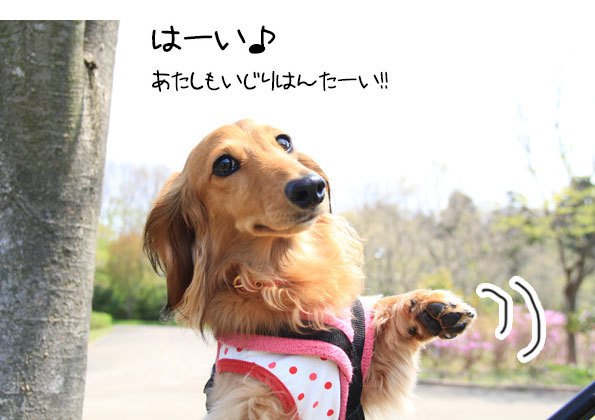 2018042114.jpg