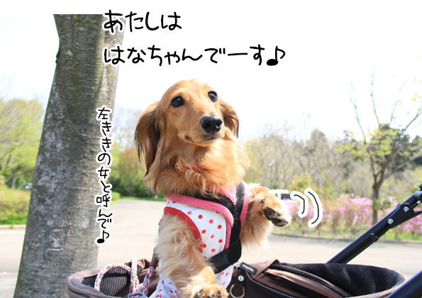 2018042115.jpg
