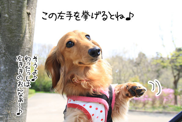 2018042116.jpg