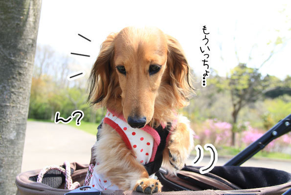 2018042118.jpg