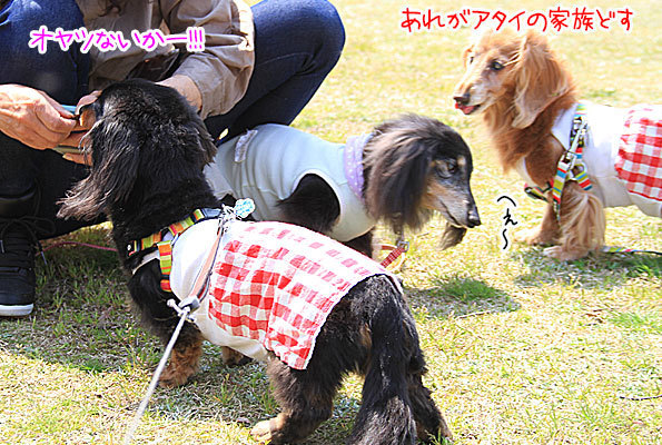 2018042119.jpg