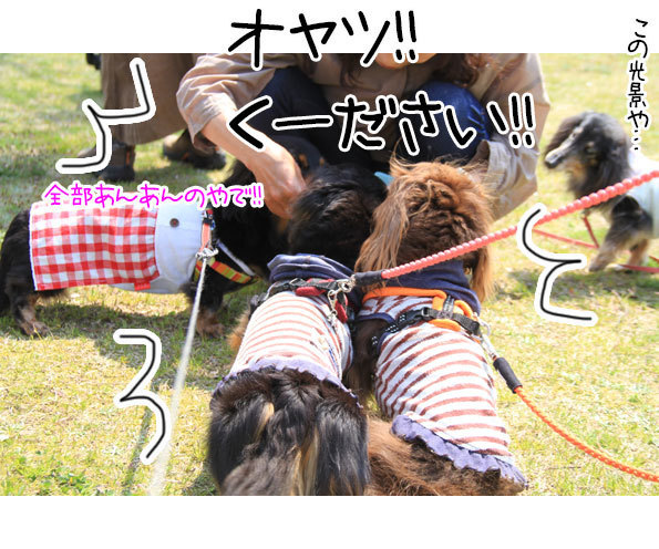 2018042122.jpg