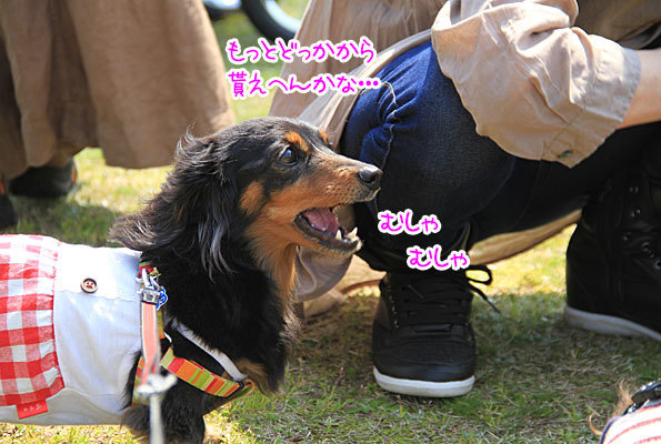 2018042123.jpg