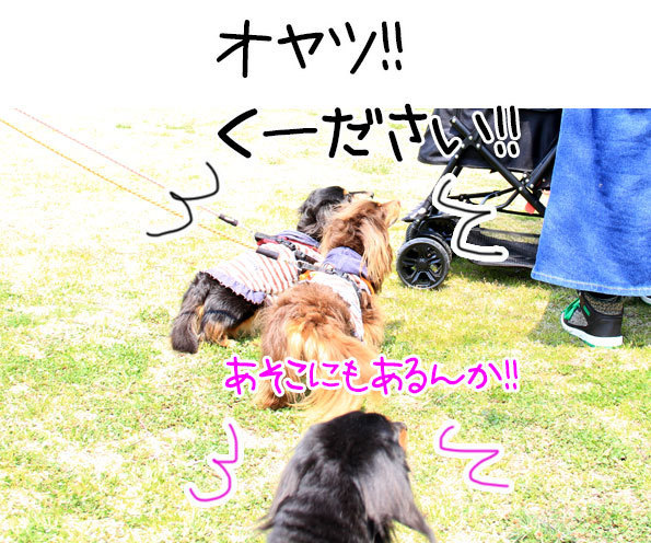 2018042124.jpg