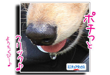 2018042125.jpg