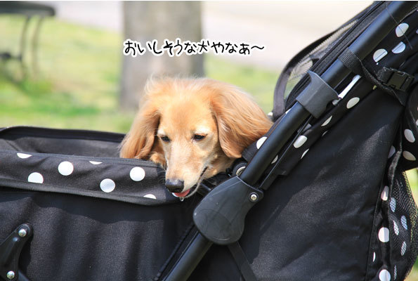 2018042202.jpg