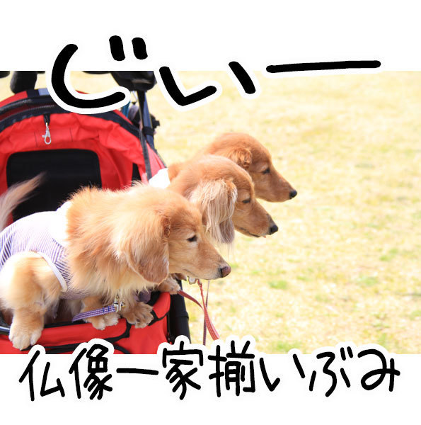 2018042204.jpg