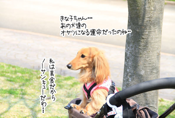 2018042207.jpg