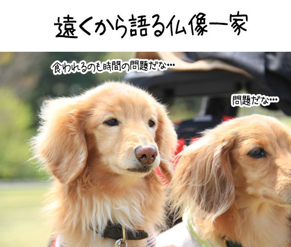 2018042209.jpg