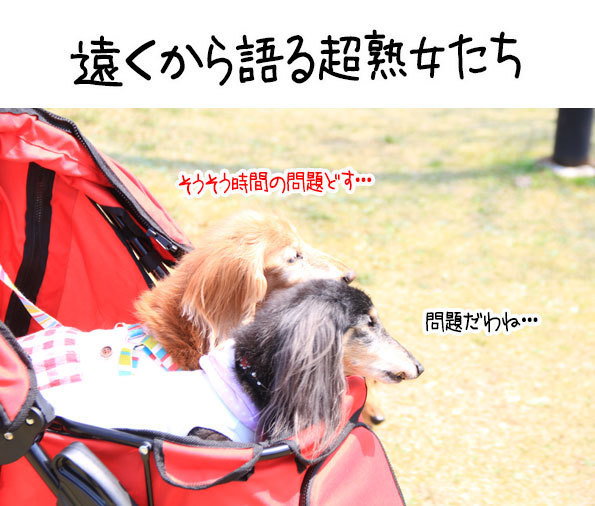 2018042210.jpg