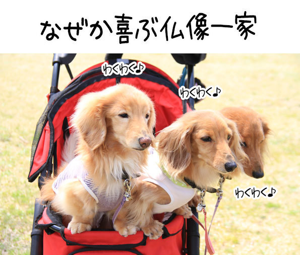 2018042211.jpg
