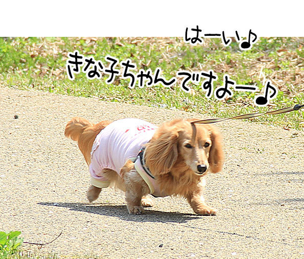 2018042213.jpg