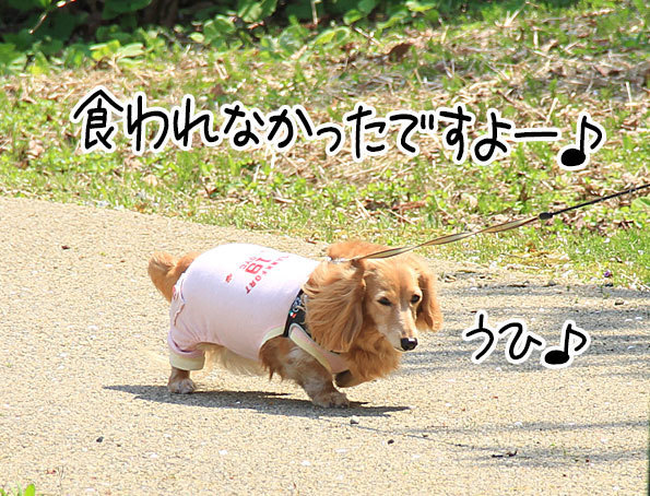 2018042214.jpg