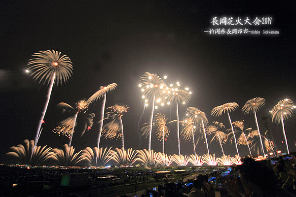 長岡花火 富山のわんこだ ぼん