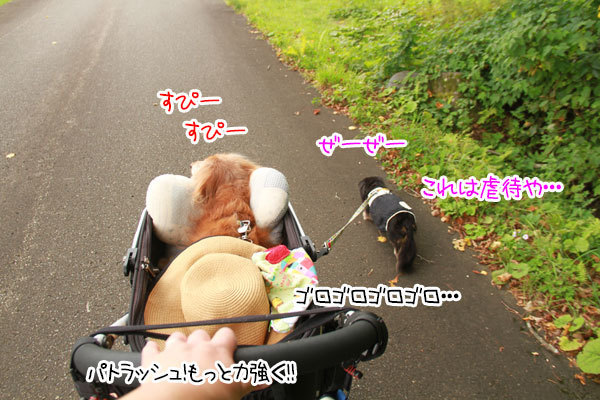 2019100402.jpg
