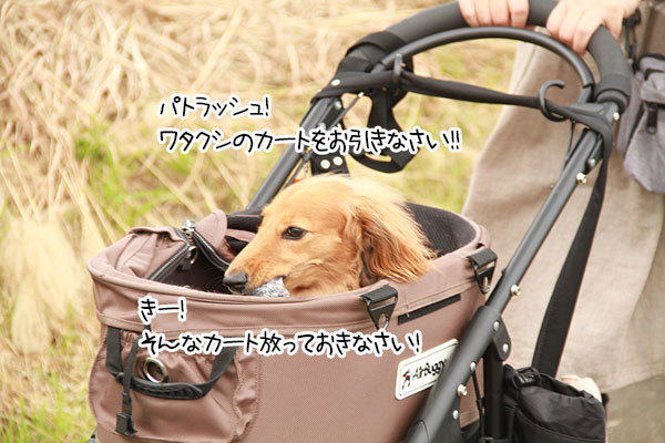 2019100403.jpg