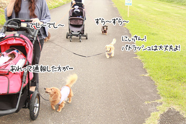 2019100404.jpg