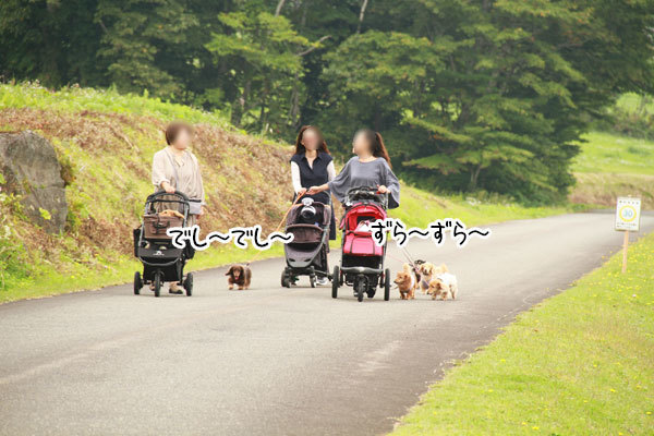 2019100405.jpg