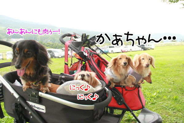2019100409.jpg