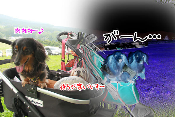 2019100410.jpg