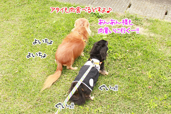2019100411.jpg