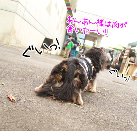 2019100418.jpg