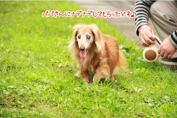 2019100419.jpg