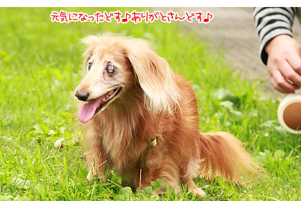 2019100420.jpg