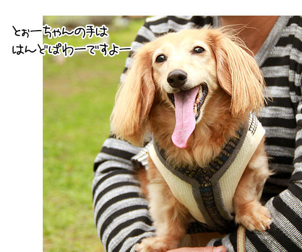 2019100421.jpg