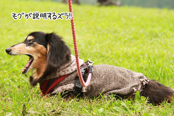 2019100426.jpg