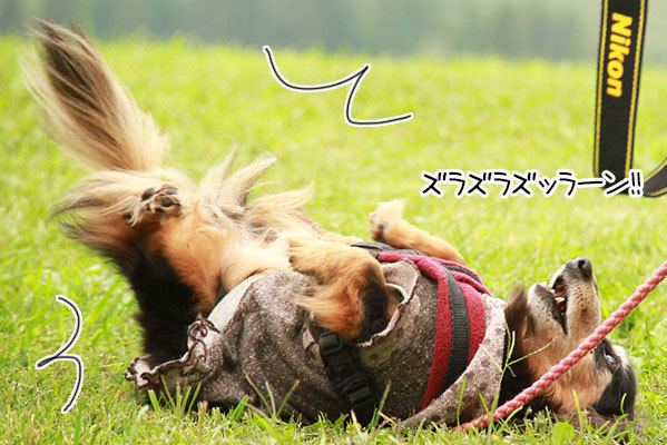 2019100427.jpg