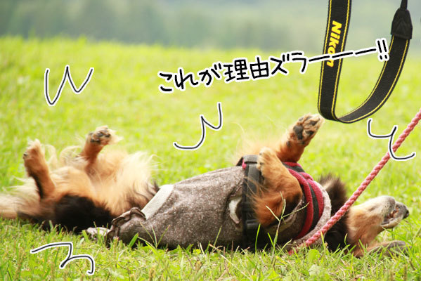 2019100428.jpg