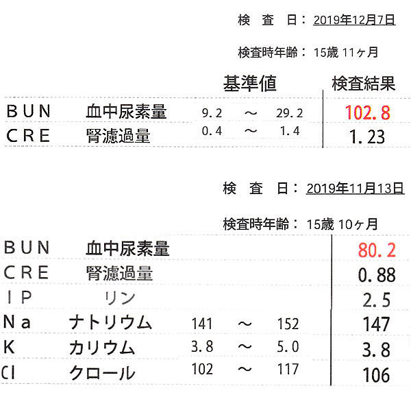 跳ね上がったクッキーのｂｕｎの数値 富山のわんこだ ぼん