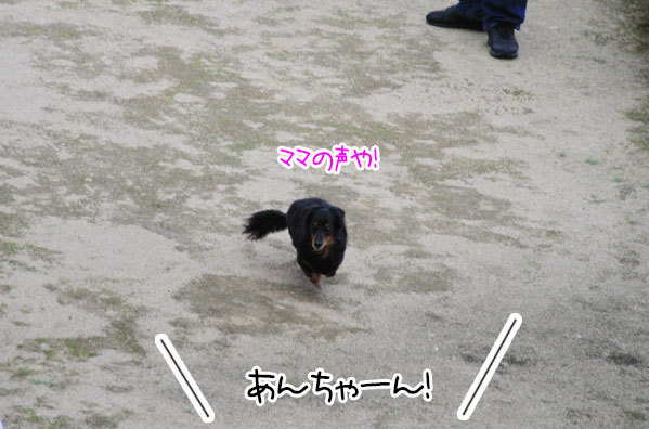 2020063015.jpg