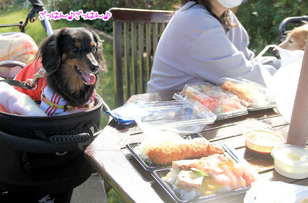2020102906.jpg