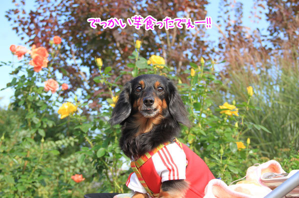 2020102918.jpg