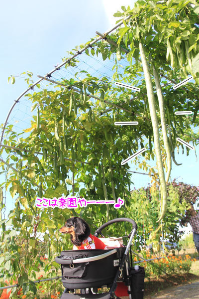 2020102922.jpg
