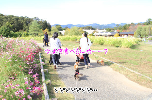 2020102923.jpg