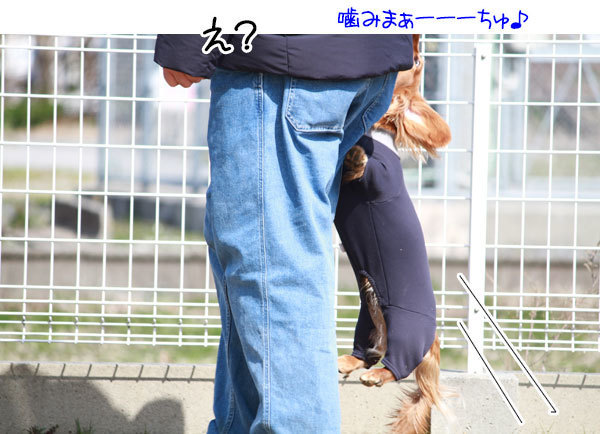 2023032102.jpg